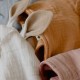 BIBS CUDDLE CLOTH KANGAROO Pieluszka przytulanka z zawieszką na smoczek Ivory