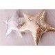 Bizzi Growin poduszka dekoracyjna Gold Star