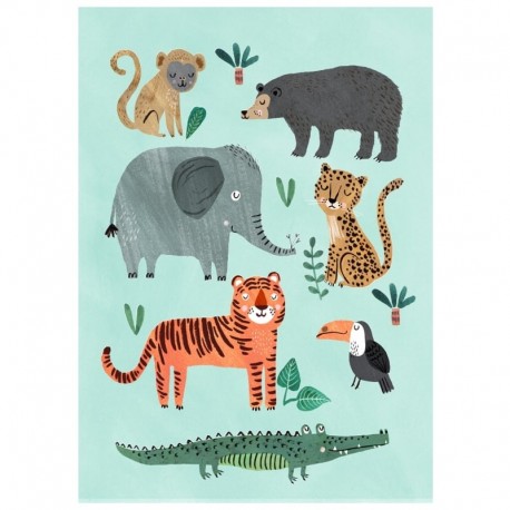 Petit Monkey - Poster Wild Animals 70 x 50 cm